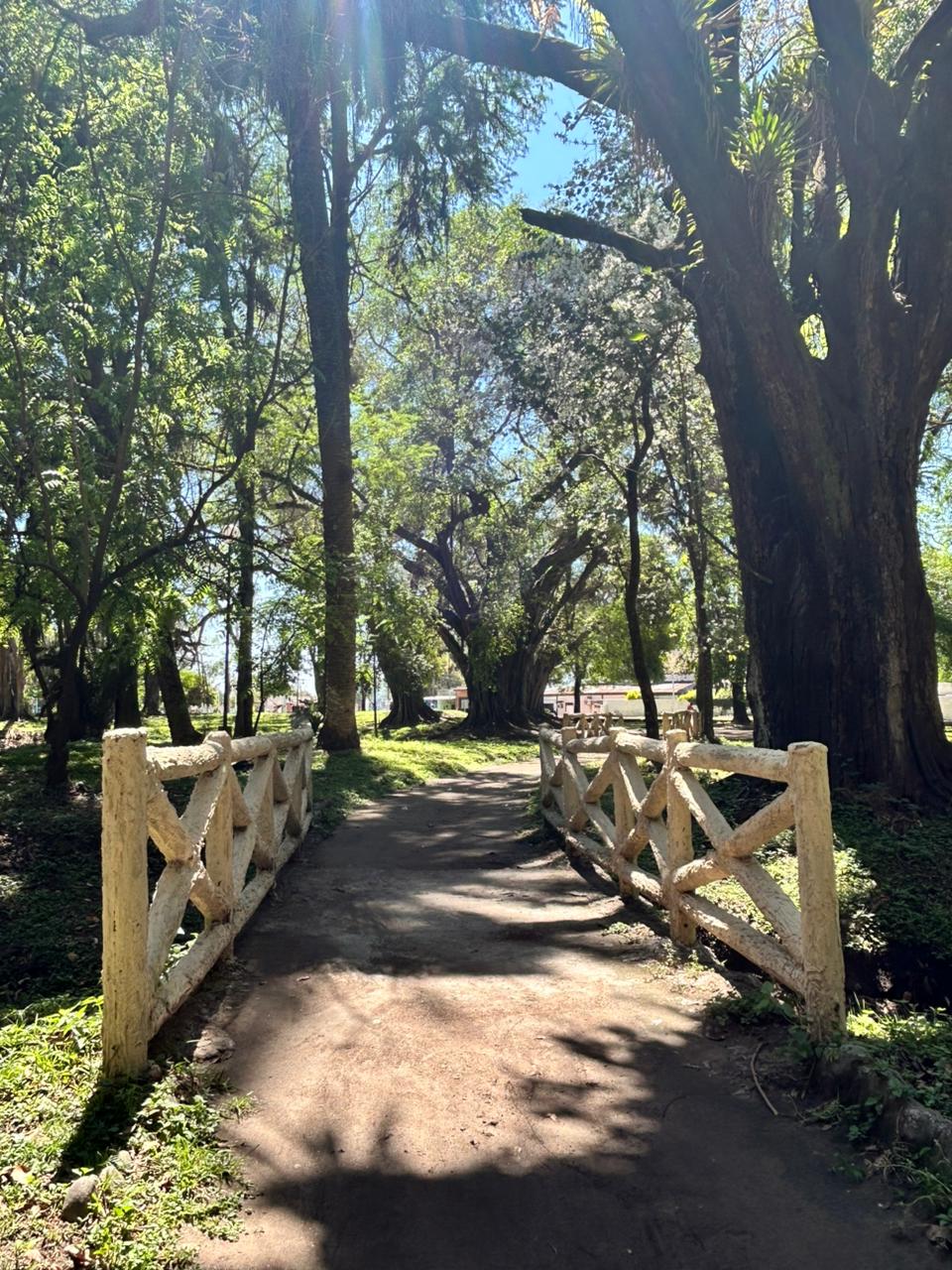 Puentes Tradicionales